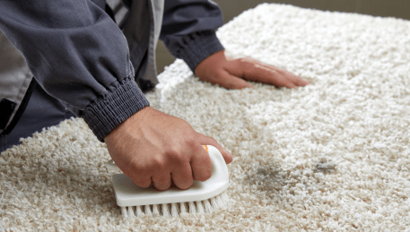 Professional Rug Cleaning Wheelers Hill